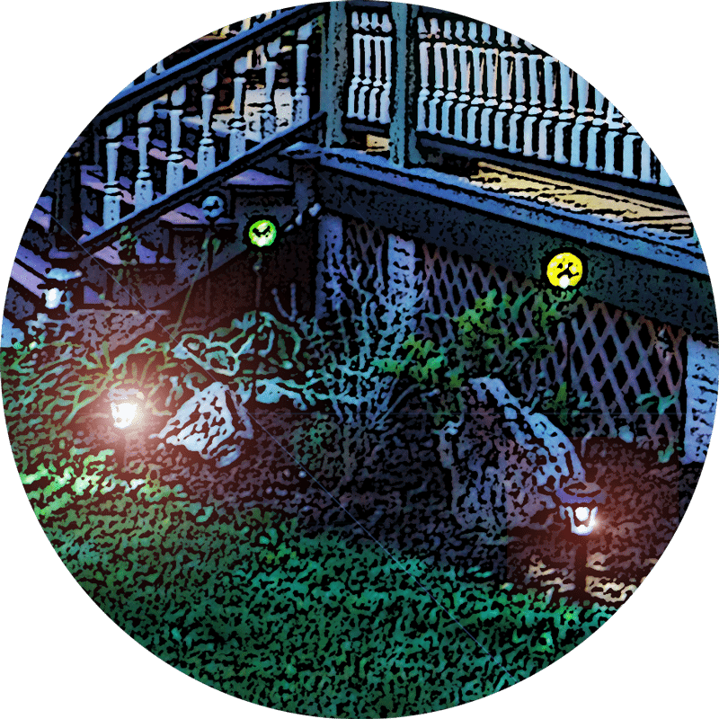 Landscape Lighting